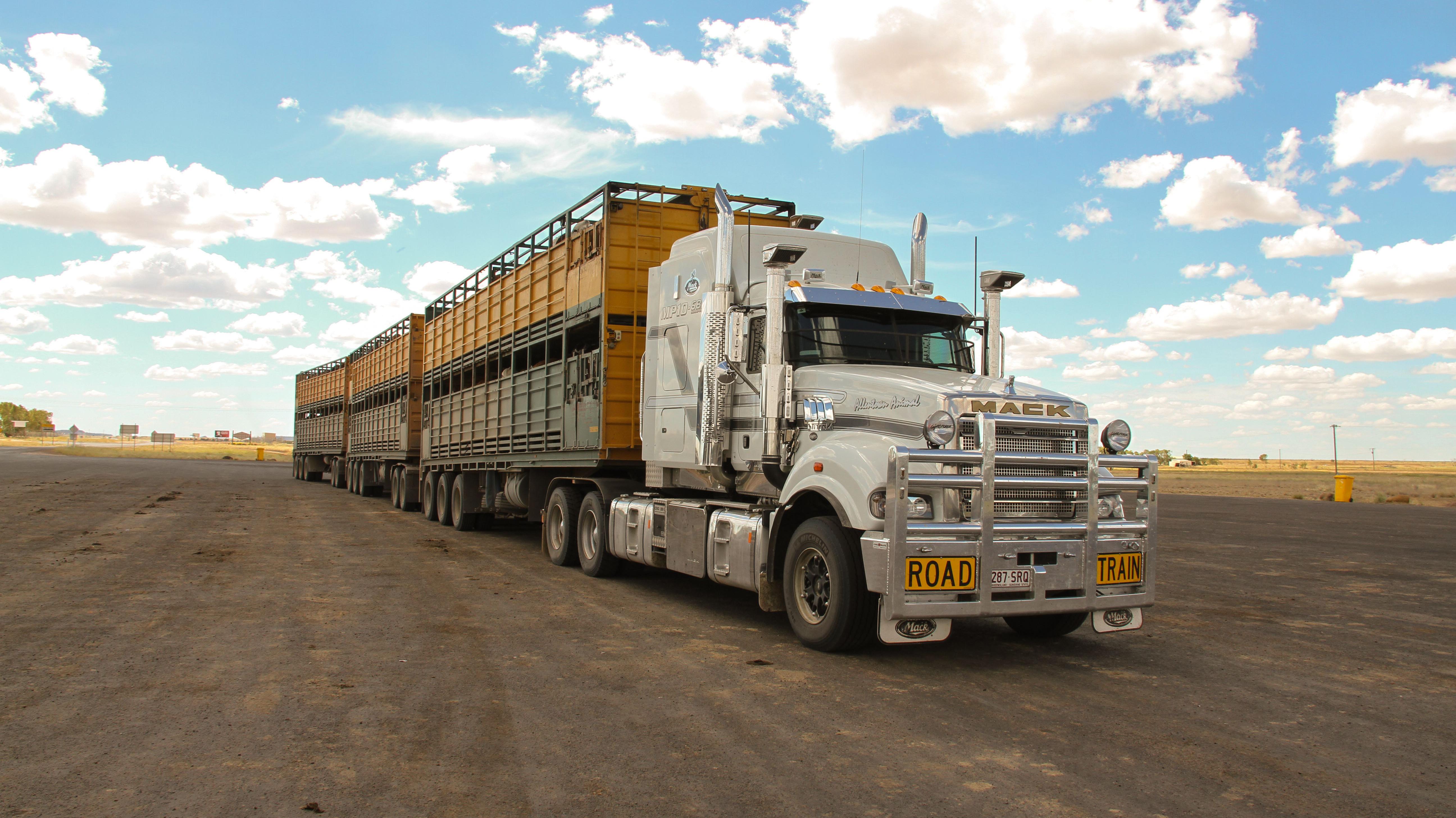 Die fünf Besten – Trucks